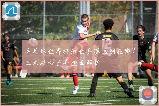 乒乓球世界杯和世乒赛区别在哪？三大核心差异全面解析