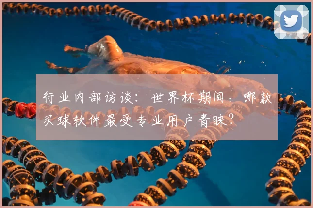 行业内部访谈：世界杯期间，哪款买球软件最受专业用户青睐？