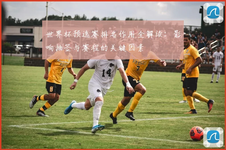 世界杯预选赛排名作用全解读：影响抽签与赛程的关键因素