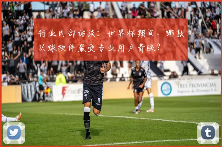 行业内部访谈：世界杯期间，哪款买球软件最受专业用户青睐？