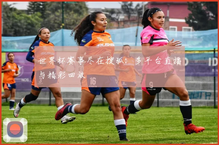 世界杯赛事尽在搜狐：多平台直播与精彩回放