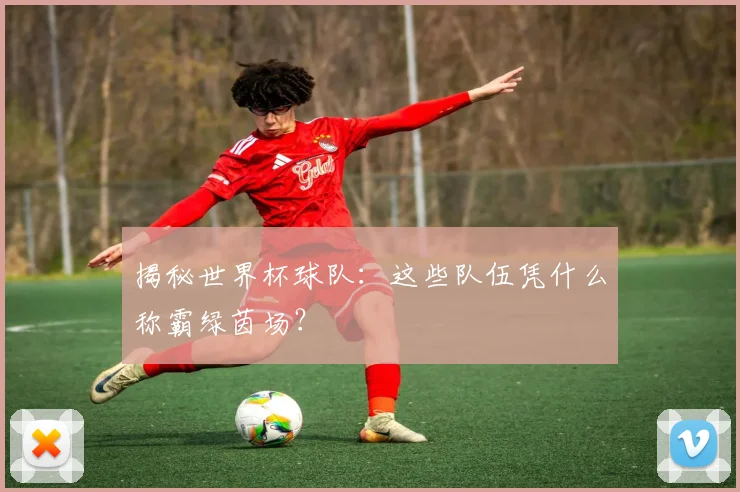 揭秘世界杯球队：这些队伍凭什么称霸绿茵场？