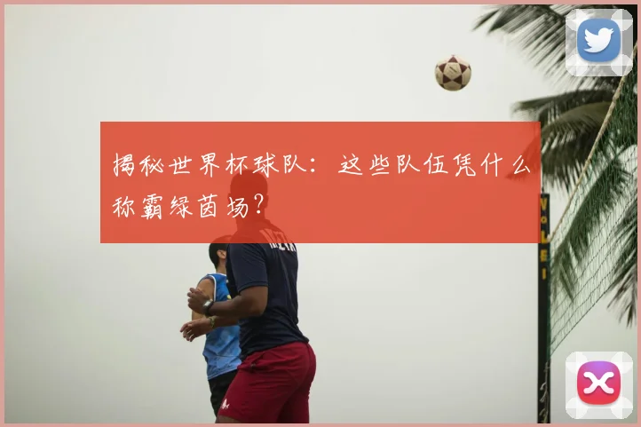 揭秘世界杯球队：这些队伍凭什么称霸绿茵场？